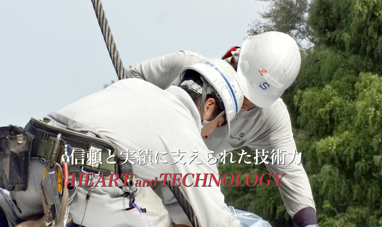 まっすぐと未来を見据えて応えます